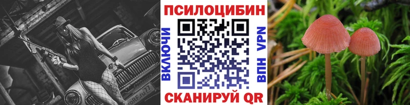 сколько стоит  Грозный  Галлюциногенные грибы прущие грибы 